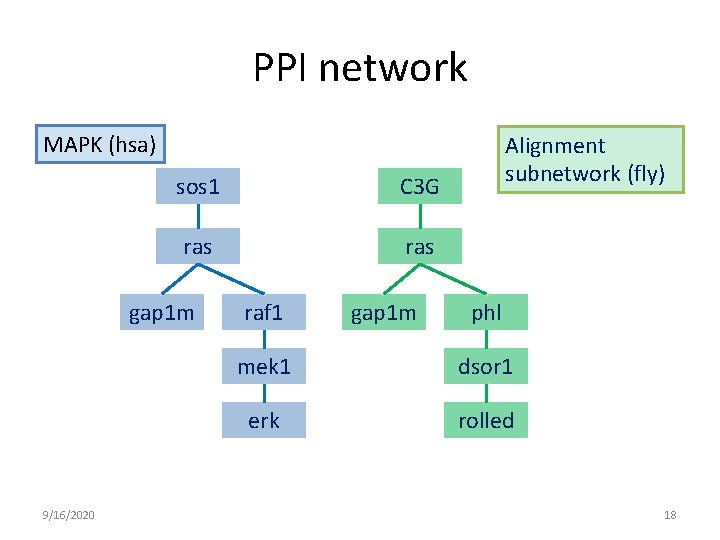 PPI network MAPK (hsa) sos 1 C 3 G ras gap 1 m 9/16/2020