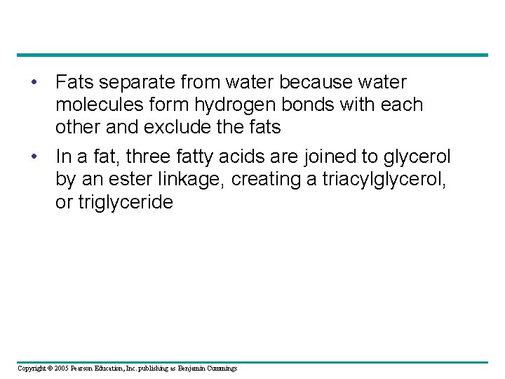  • Fats separate from water because water molecules form hydrogen bonds with each