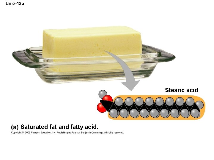 LE 5 -12 a Stearic acid Saturated fat and fatty acid. 