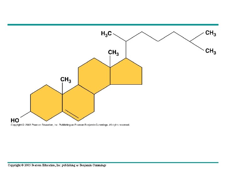Copyright © 2005 Pearson Education, Inc. publishing as Benjamin Cummings 