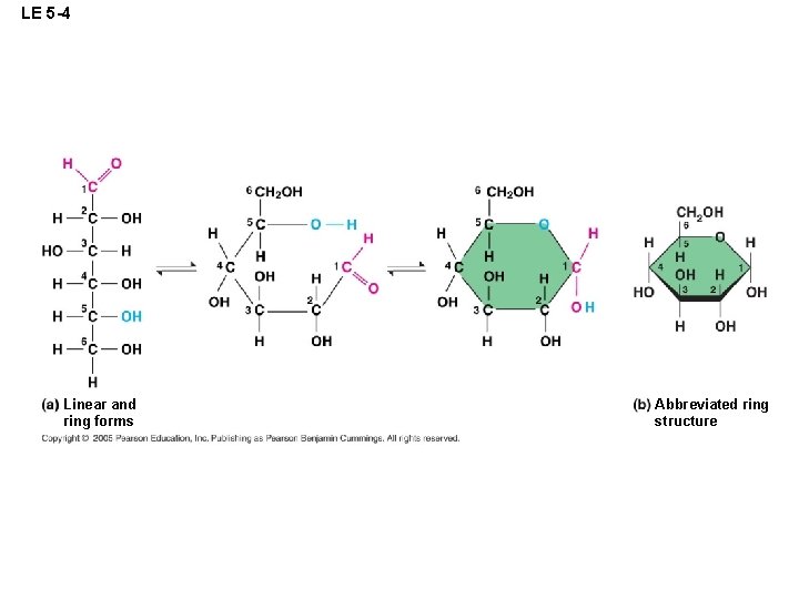 LE 5 -4 Linear and ring forms Abbreviated ring structure 