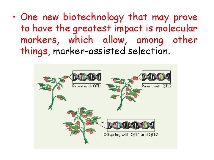  • One new biotechnology that may prove to have the greatest impact is