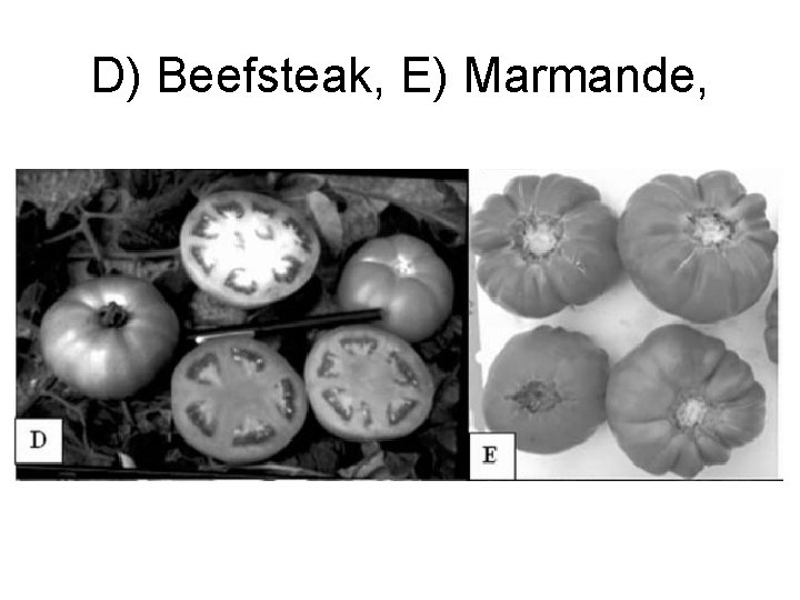 D) Beefsteak, E) Marmande, 