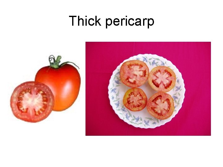 Thick pericarp 