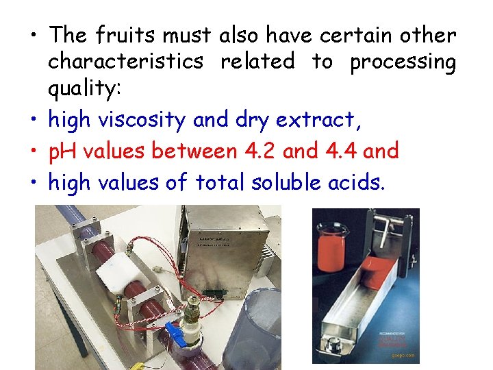  • The fruits must also have certain other characteristics related to processing quality: