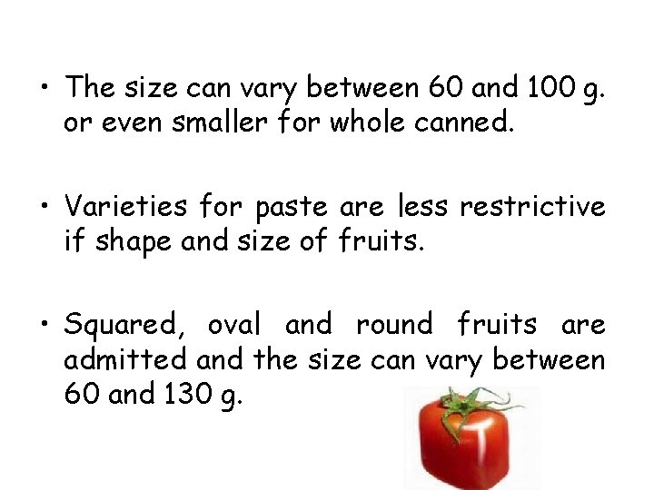  • The size can vary between 60 and 100 g. or even smaller