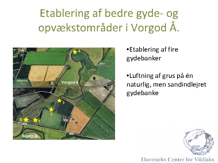 Etablering af bedre gyde- og opvækstområder i Vorgod Å. • Etablering af fire gydebanker