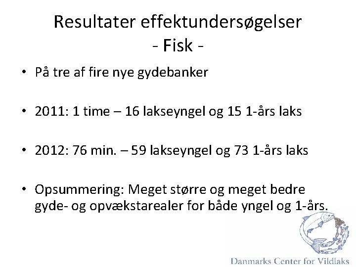 Resultater effektundersøgelser - Fisk • På tre af fire nye gydebanker • 2011: 1