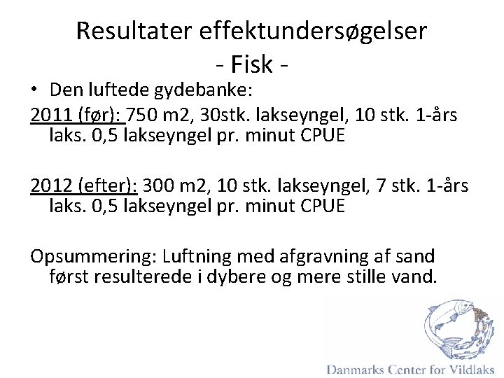 Resultater effektundersøgelser - Fisk - • Den luftede gydebanke: 2011 (før): 750 m 2,