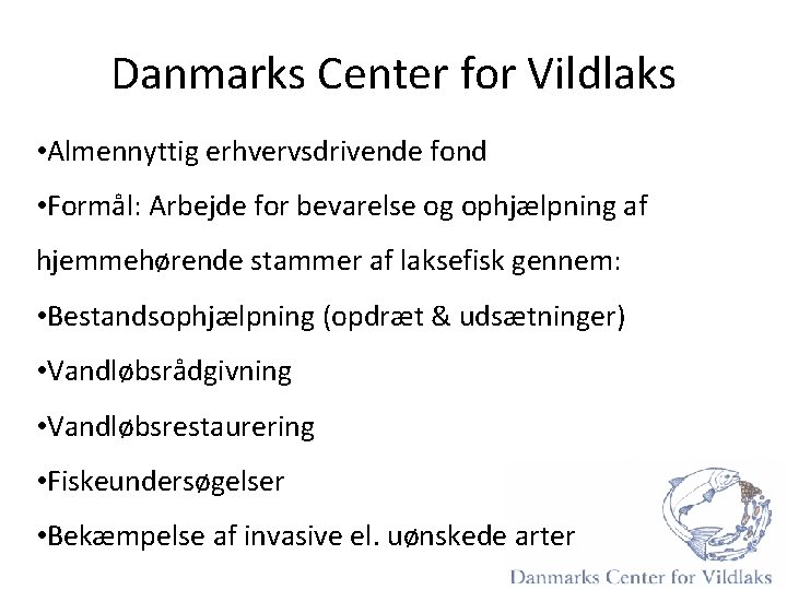 Danmarks Center for Vildlaks • Almennyttig erhvervsdrivende fond • Formål: Arbejde for bevarelse og