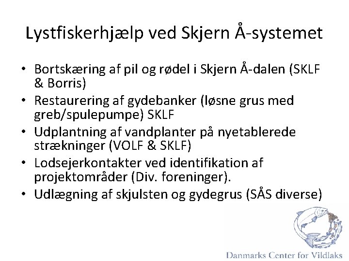 Lystfiskerhjælp ved Skjern Å-systemet • Bortskæring af pil og rødel i Skjern Å-dalen (SKLF