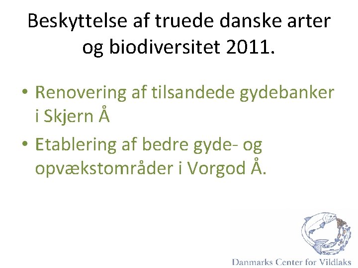 Beskyttelse af truede danske arter og biodiversitet 2011. • Renovering af tilsandede gydebanker i