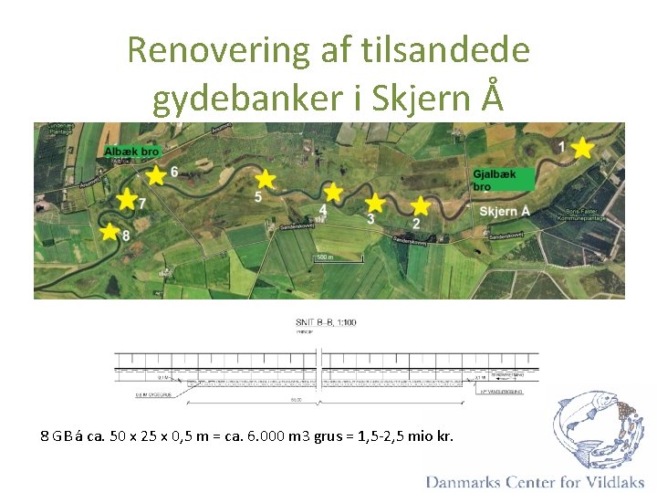 Renovering af tilsandede gydebanker i Skjern Å 8 GB á ca. 50 x 25