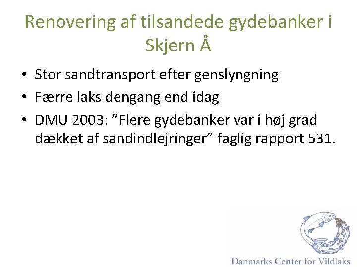 Renovering af tilsandede gydebanker i Skjern Å • Stor sandtransport efter genslyngning • Færre