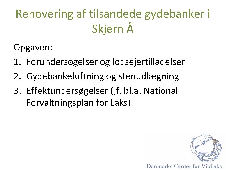 Renovering af tilsandede gydebanker i Skjern Å Opgaven: 1. Forundersøgelser og lodsejertilladelser 2. Gydebankeluftning