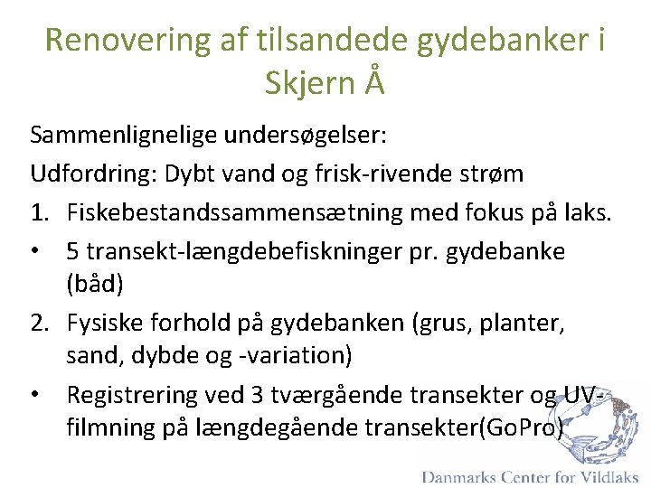 Renovering af tilsandede gydebanker i Skjern Å Sammenlignelige undersøgelser: Udfordring: Dybt vand og frisk-rivende