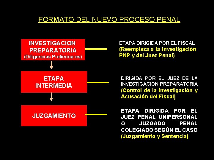 FORMATO DEL NUEVO PROCESO PENAL INVESTIGACION PREPARATORIA (Diligencias Preliminares) ETAPA INTERMEDIA JUZGAMIENTO ETAPA DIRIGIDA