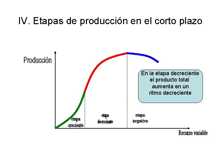 IV. Etapas de producción en el corto plazo En la etapa decreciente el producto