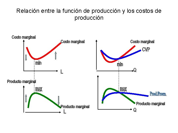 Relación entre la función de producción y los costos de producción 