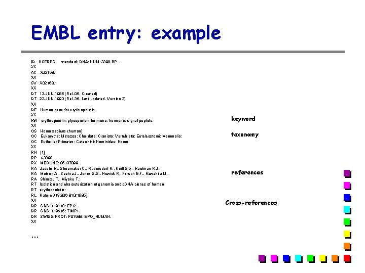 EMBL entry: example ID HSERPG standard; DNA; HUM; 3398 BP. XX AC X 02158; EMBL entry: example ID HSERPG standard; DNA; HUM; 3398 BP. XX AC X 02158;