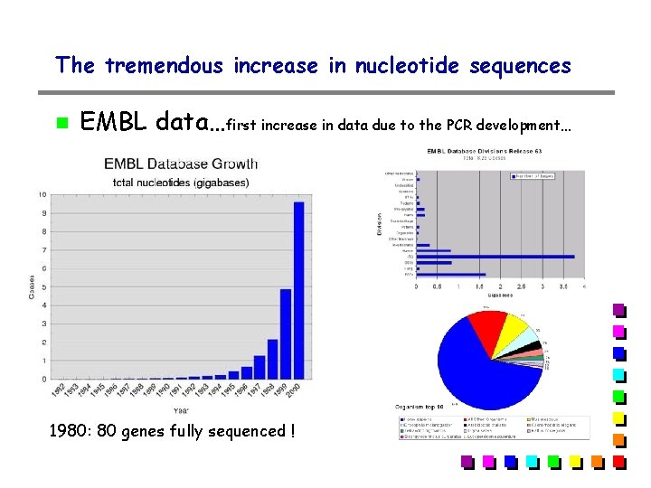 The tremendous increase in nucleotide sequences EMBL data…first increase in data due to the The tremendous increase in nucleotide sequences EMBL data…first increase in data due to the