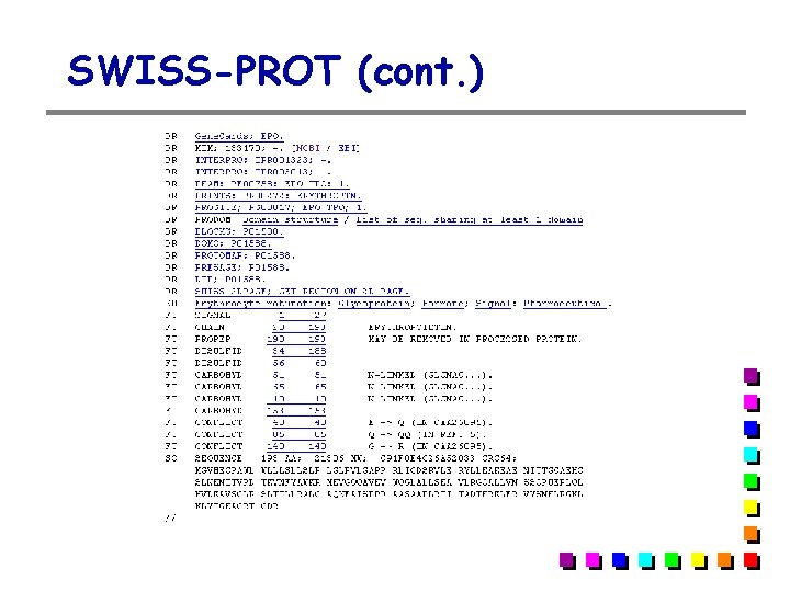 SWISS-PROT (cont. ) SWISS-PROT (cont. )