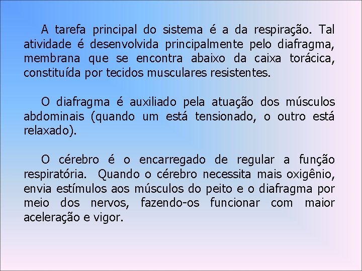 A tarefa principal do sistema é a da respiração. Tal atividade é desenvolvida principalmente