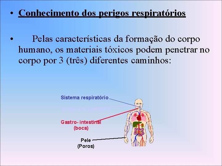 • Conhecimento dos perigos respiratórios • Pelas características da formação do corpo humano,