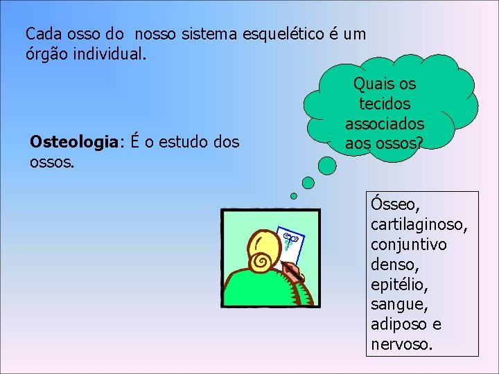 Cada osso do nosso sistema esquelético é um órgão individual. Osteologia: É o estudo