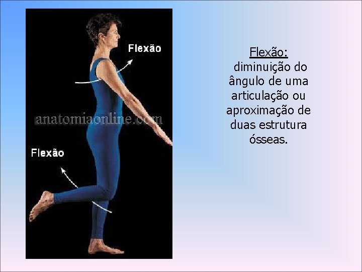 Flexão: diminuição do ângulo de uma articulação ou aproximação de duas estrutura ósseas. 