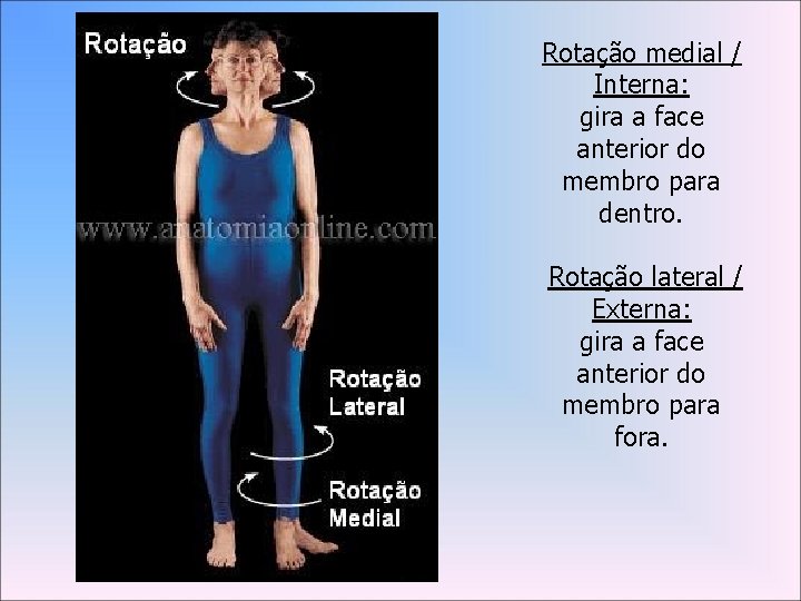 Rotação medial / Interna: gira a face anterior do membro para dentro. Rotação lateral