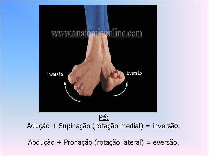 Pé: Adução + Supinação (rotação medial) = inversão. Abdução + Pronação (rotação lateral) =