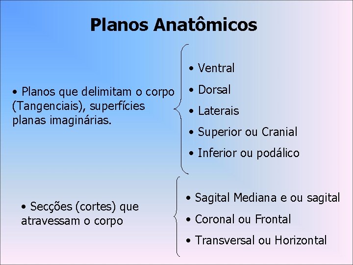 Planos Anatômicos • Ventral • Planos que delimitam o corpo • Dorsal (Tangenciais), superfícies