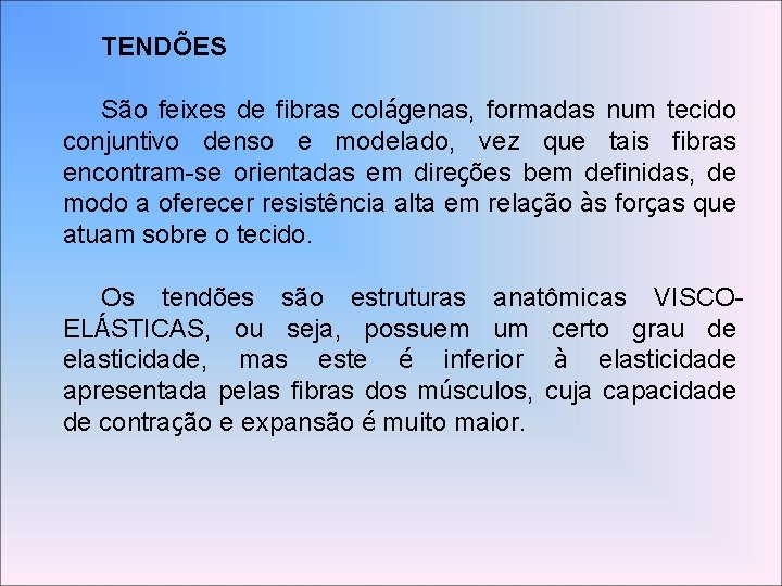 TENDÕES São feixes de fibras colágenas, formadas num tecido conjuntivo denso e modelado, vez