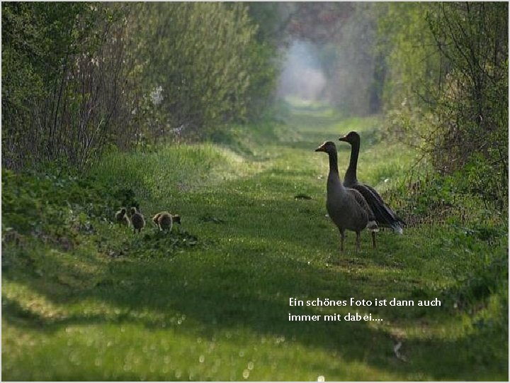 Ein schönes Foto ist dann auch immer mit dabei…. 