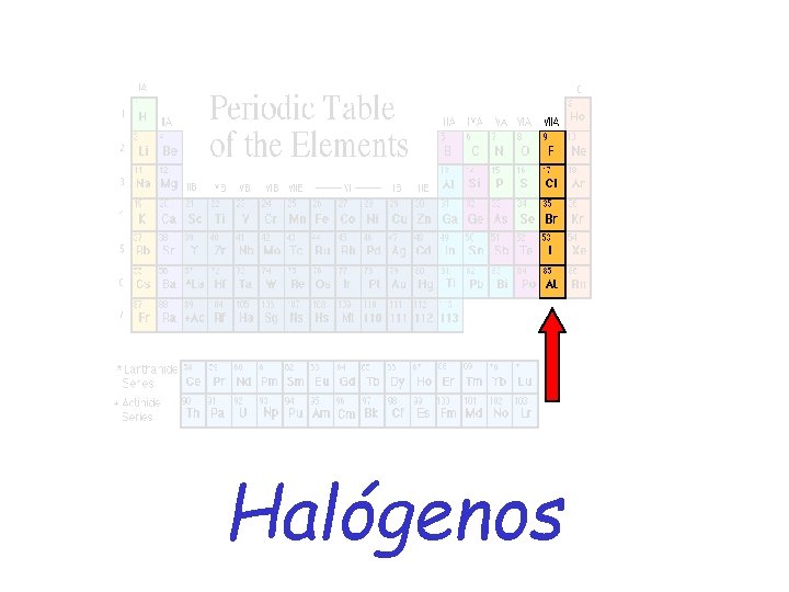 Halógenos 