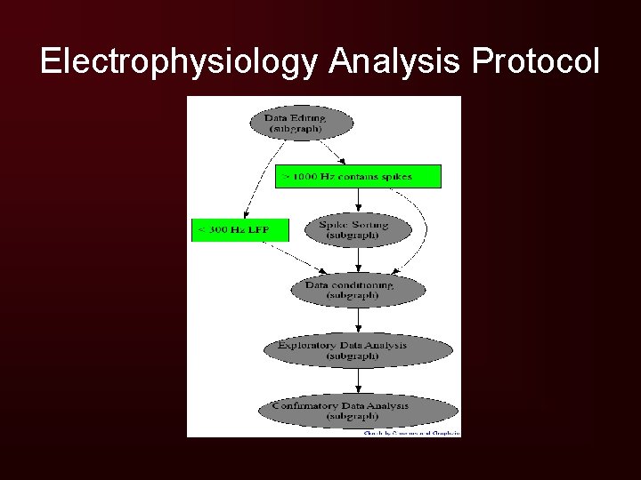 Electrophysiology Analysis Protocol 