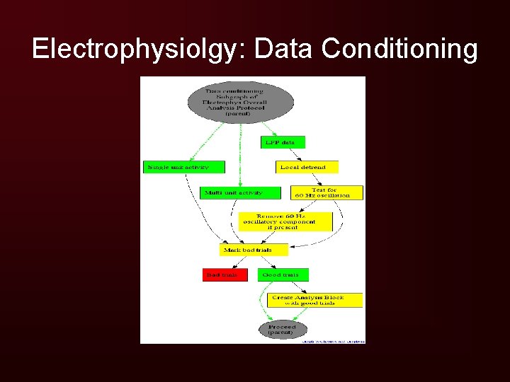 Electrophysiolgy: Data Conditioning 