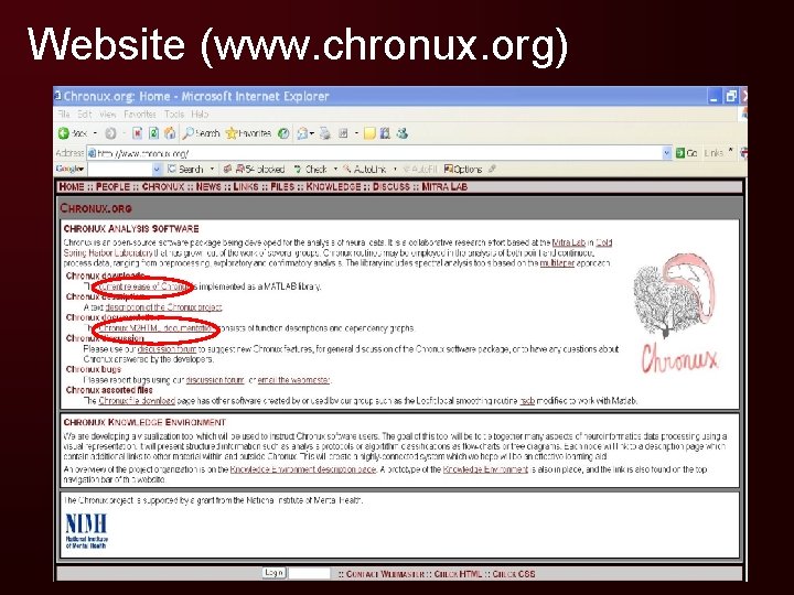 Website (www. chronux. org) 