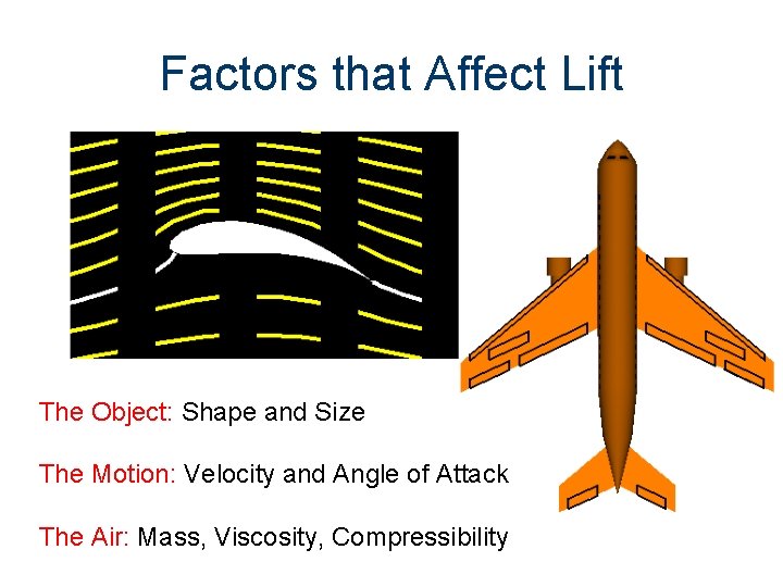 Factors that Affect Lift The Object: Shape and Size The Motion: Velocity and Angle