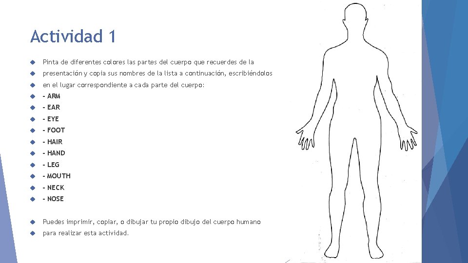 Actividad 1 Pinta de diferentes colores las partes del cuerpo que recuerdes de la