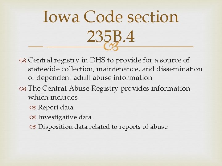 Iowa Code section 235 B. 4 Central registry in DHS to provide for a