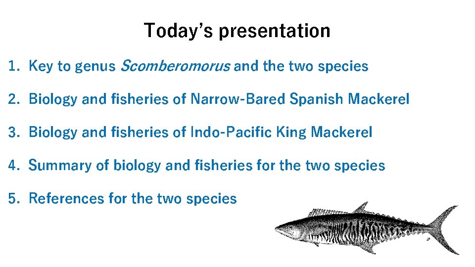 Today’s presentation 1. Key to genus Scomberomorus and the two species 2. Biology and