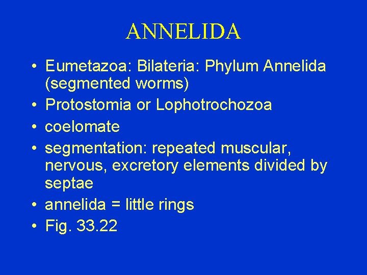 ANNELIDA • Eumetazoa: Bilateria: Phylum Annelida (segmented worms) • Protostomia or Lophotrochozoa • coelomate