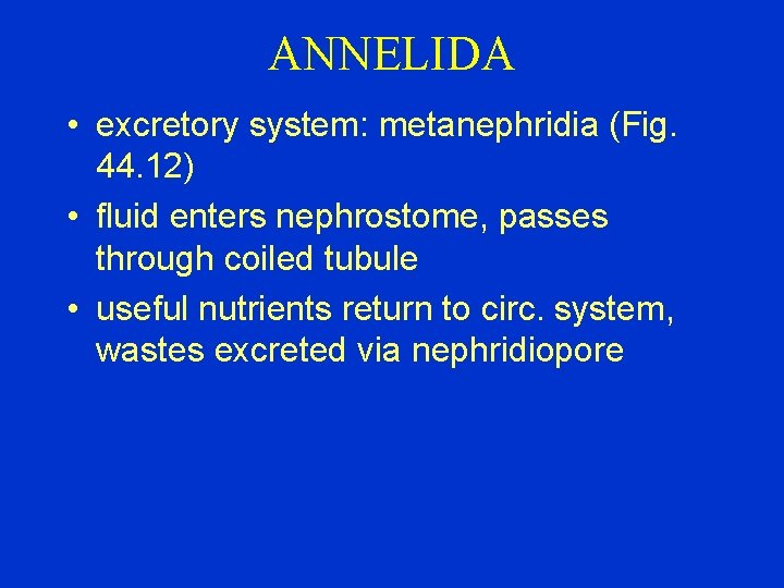ANNELIDA • excretory system: metanephridia (Fig. 44. 12) • fluid enters nephrostome, passes through
