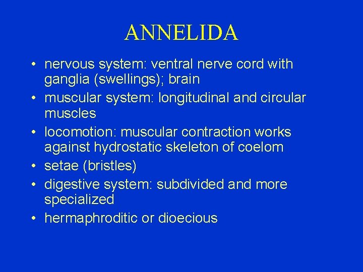 ANNELIDA • nervous system: ventral nerve cord with ganglia (swellings); brain • muscular system: