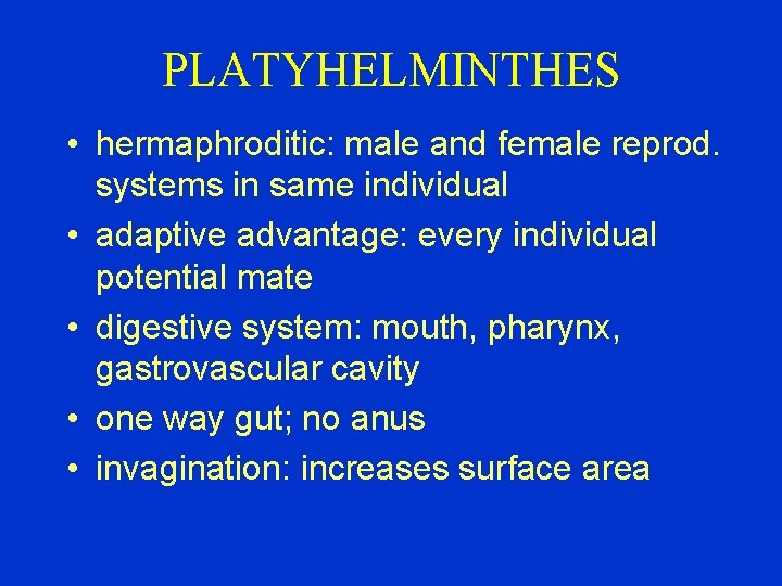 PLATYHELMINTHES • hermaphroditic: male and female reprod. systems in same individual • adaptive advantage: