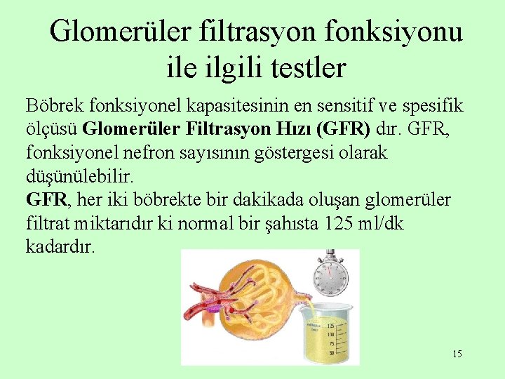 Glomerüler filtrasyon fonksiyonu ile ilgili testler Böbrek fonksiyonel kapasitesinin en sensitif ve spesifik ölçüsü