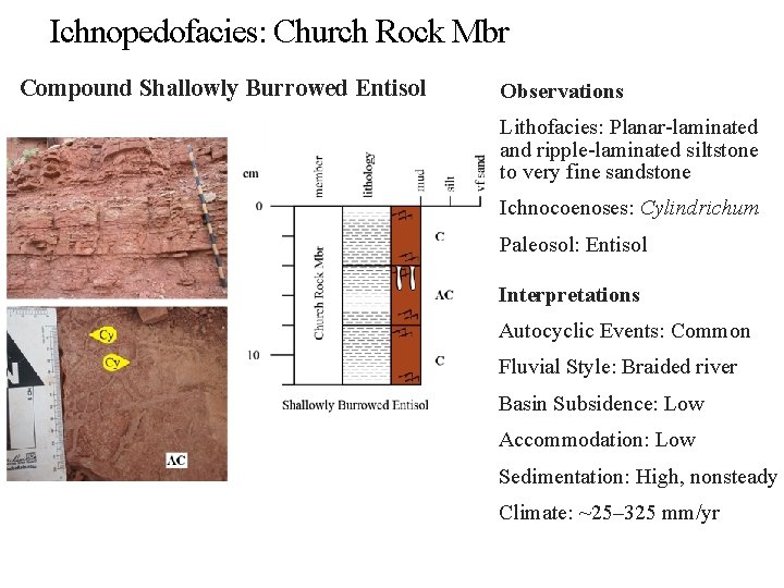 Ichnopedofacies: Church Rock Mbr Compound Shallowly Burrowed Entisol Observations Lithofacies: Planar-laminated and ripple-laminated siltstone
