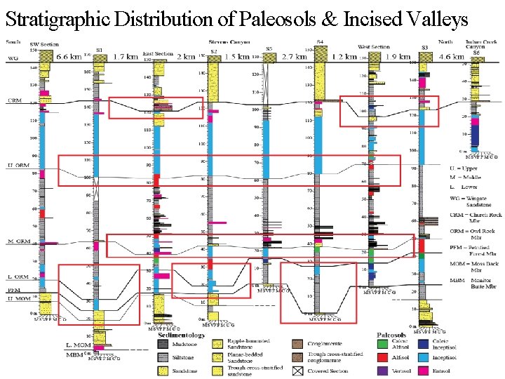 Stratigraphic Distribution of Paleosols & Incised Valleys 